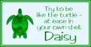 At Ease Turtle - Daisy