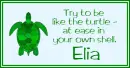 At Ease Turtle - Elia