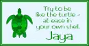 At Ease Turtle - Jaya
