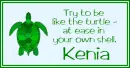 At Ease Turtle - Kenia