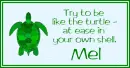 At Ease Turtle - Mel