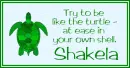 At Ease Turtle - Shakela