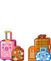 Luggage 