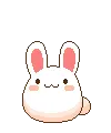 Bouncing Bunny