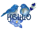Hello
