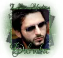 Dilruba