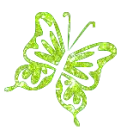 Green butterfly - nwofr