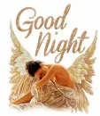 Good Night