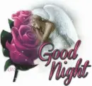 Good Night