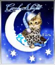 Goodnight