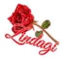 Zindagi Rose