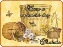 Splendid Day ~ Shakela