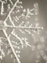 Snowflake - background - win