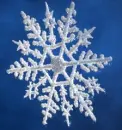 Snowflake - background - win