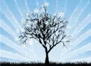 Snowy Tree - background - win
