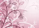 Pink Flowers - Background