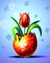 Spring Tulip - background - spring