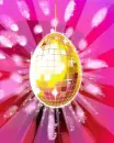 Egg - spring