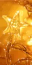 Star - background