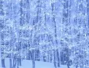 Snowy Tree - background - win