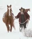 Winter horse & rider - background