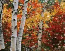 Autumn / Fall - background