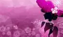 wow