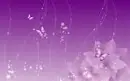 wow