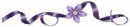 Purple divider