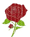 rose