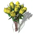 Yellow Roses