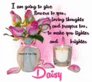 'm going to give flowers to you.Daisy