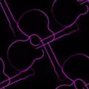 guitar bacKgRoUnD......â™¥â™¥