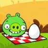 Angry Birds Picnic