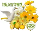Pretty Duck- Rita
