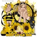busy little bee