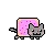 Mini Nyan Cat.