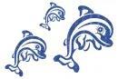 Dolphins