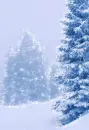 Snowy Tree - background - win