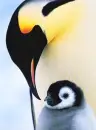 mothers love