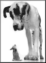 Big and little