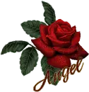 rose1