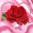 rose0