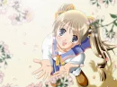 Falling Petals