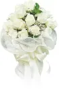 White Rose
