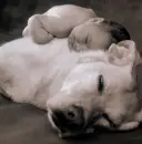 Best Friends