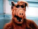 ALF