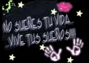 vive
