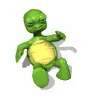 Exercising turtle