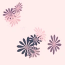 Blume